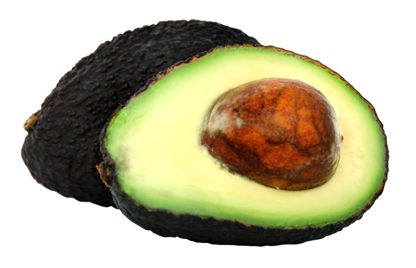 Organic Avocado