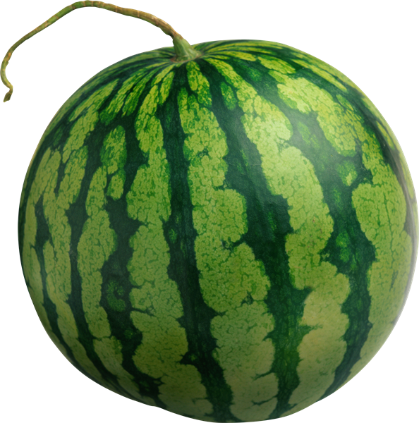 Organic Watermelon